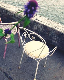 Close-up of flowers on table