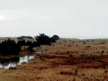 Scenic view of landscape against clear sky