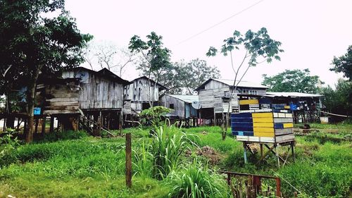 Houses on field by trees against sky