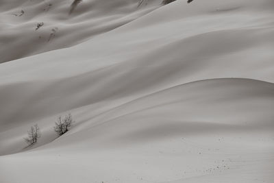 Scenic view of desert