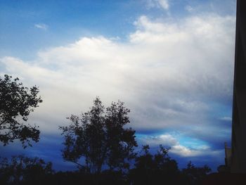 Low angle view of silhouette trees against blue sky