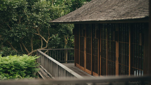 Wooden house and trees by plants