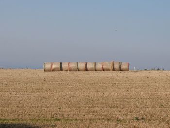 Large hay bales in field