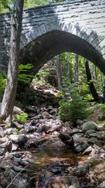 Stream flowing through forest