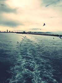 Silhouette birds flying over sea against sky