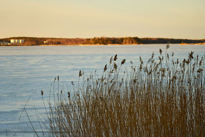 Scenic view of lake against sky during sunset