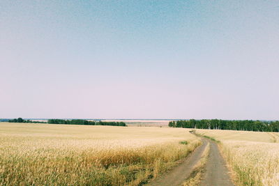 Scenic view of agricultural field against clear sky