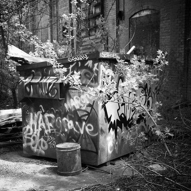 building exterior, built structure, architecture, house, large group of objects, abandoned, no people, outdoors, day, messy, wall - building feature, garbage, obsolete, old, damaged, abundance, front or back yard, residential building, container, run-down