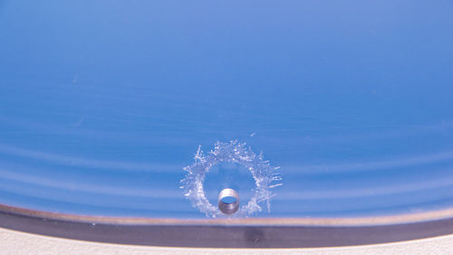 Close-up of jellyfish swimming in sea against clear blue sky