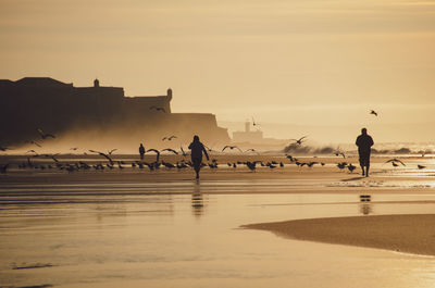 Silhouette people walking on beach against sky during sunset