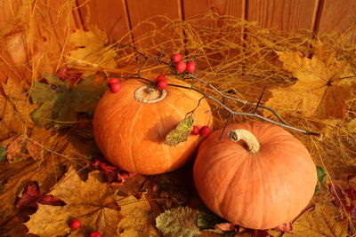 Close-up view of pumpkins