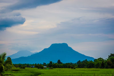 Scenic view of field against sky