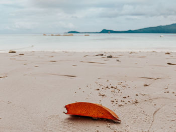 Surface level of sand on beach against sky