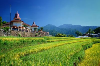 Traditional windmill on field by building against sky