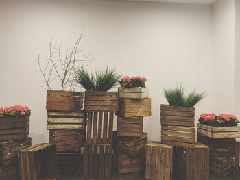 Potted plants on wooden table against wall