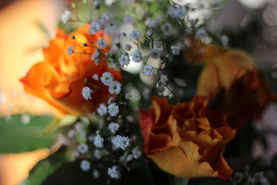 Close-up of rose bouquet