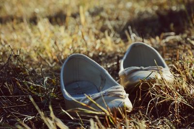 Close-up of pair of shoes on grassy field