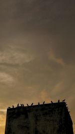 Low angle view of birds perching on building against sky