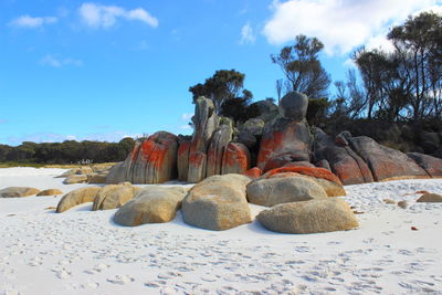 Rocks on shore against sky