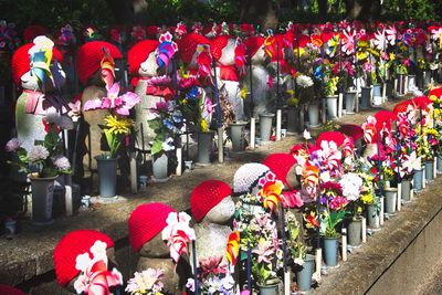 View of flowering plants at cemetery