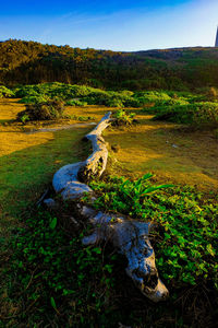 Scenic view of waterfall