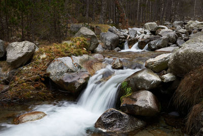 Scenic view of waterfall in forest