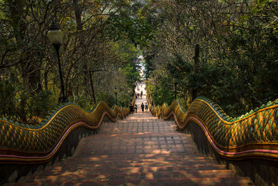 Footpath amidst trees in forest