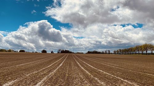 Panoramic view of agricultural field against sky