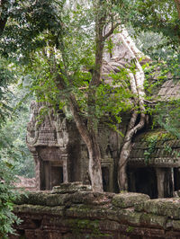 View of a temple