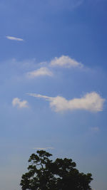 Low angle view of tree against blue sky