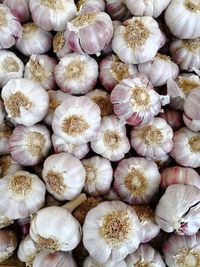 Full frame shot of garlic bulbs 