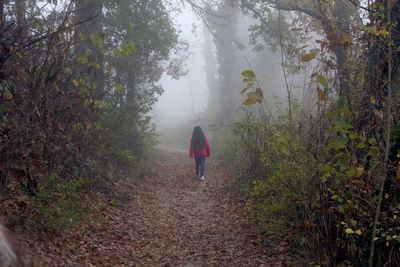 Rear view of man walking on footpath in forest