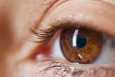 Close-up human eye