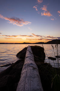 A lone tree trunk pointing to a sunset-lit horizon over a lake. ideal for inspirational designs.