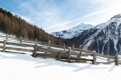 Snow covered trees and mountains against sky