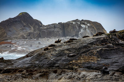 Scenic view of rocks and mountains against sky