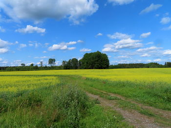 Scenic view of field against sky