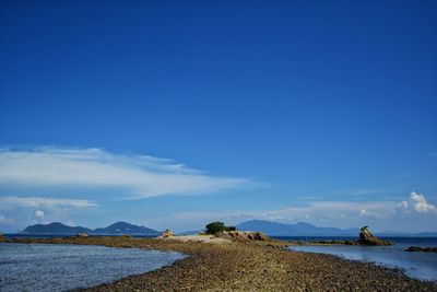 Scenic view of beach against blue sky at low tide