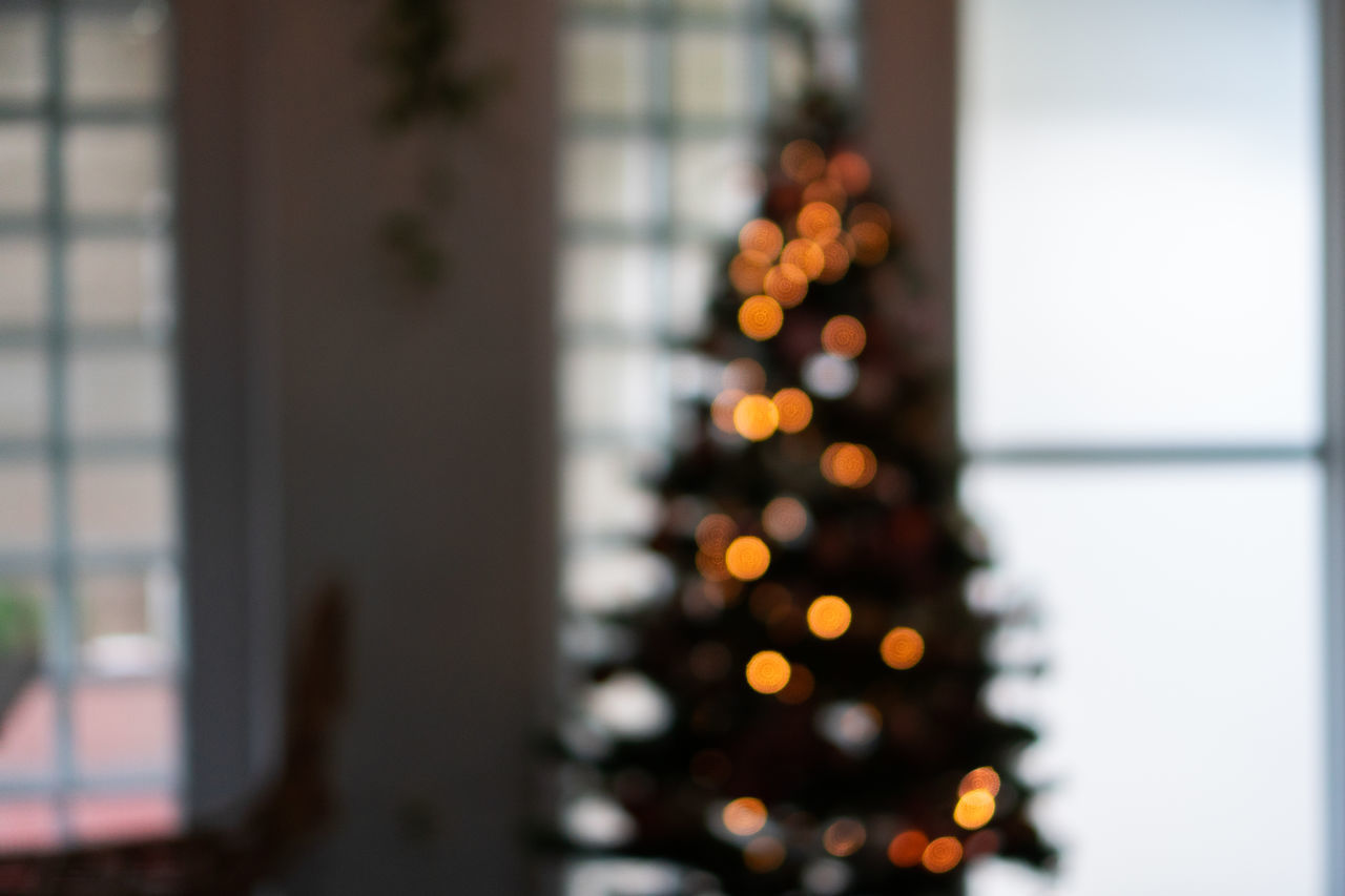DEFOCUSED IMAGE OF CHRISTMAS TREE AT HOME