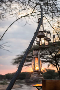 Illuminated lantern hanging by tree against sky at sunset