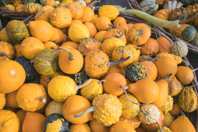 High angle view of pumpkins for sale at market stall