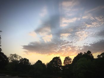 Silhouette trees in forest against sky at sunset