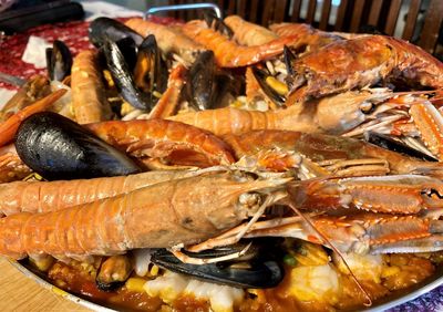 High angle view of fish in container