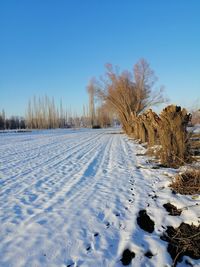 Snow covered field against clear blue sky