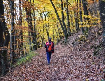 Rear view of man walking on street in forest