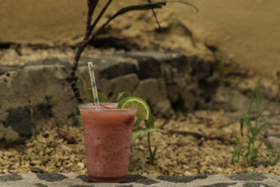 Close-up of drink on potted plant against wall