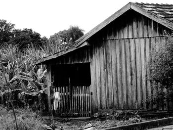 Abandoned built structure against trees