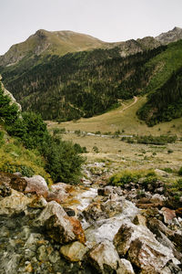 Scenic view of river flowing through rocks