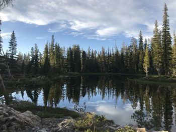 Reflection on an alpine lake in california