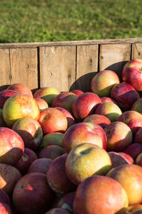 Full frame shot of apples